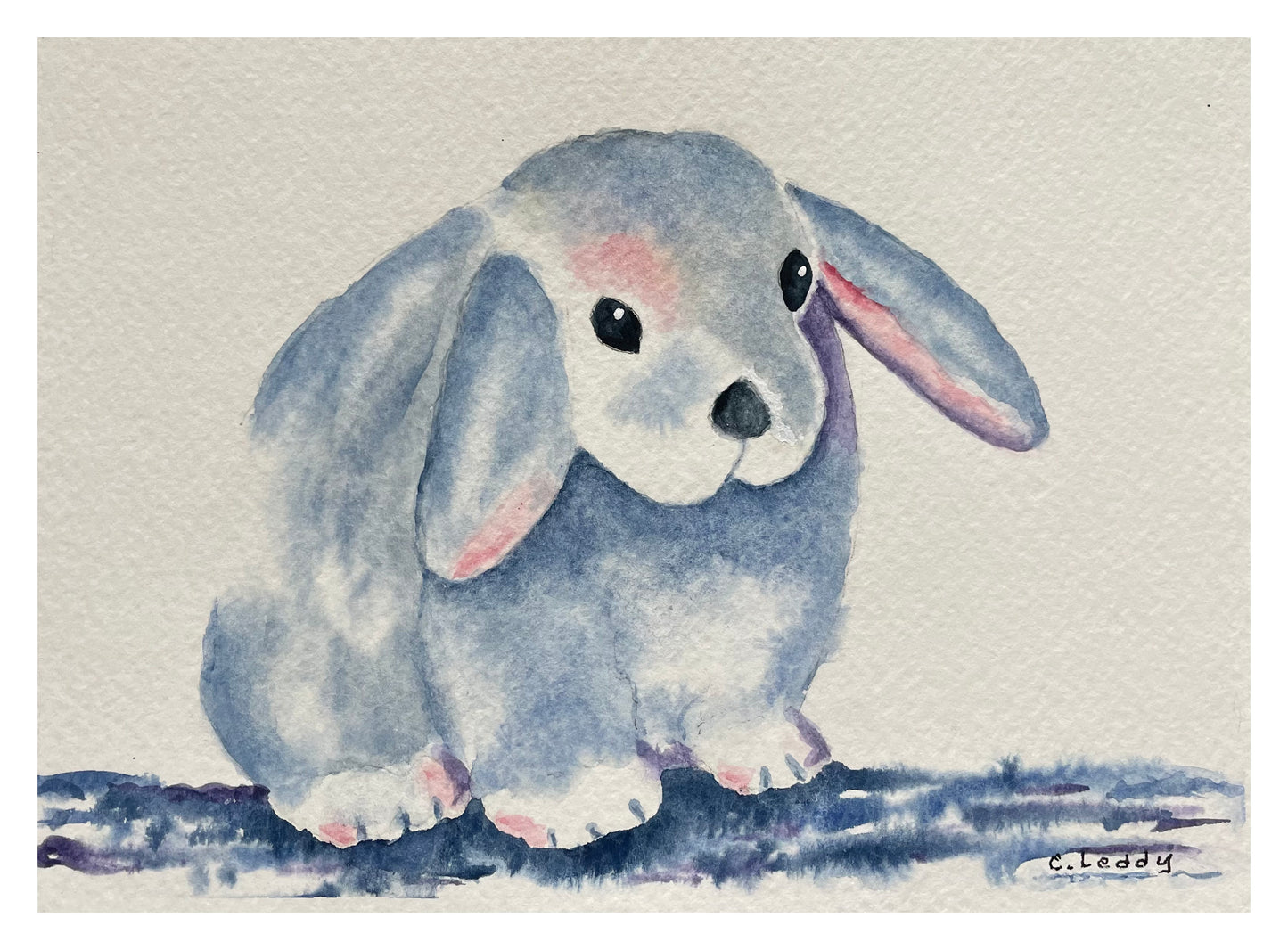 Gentle Bunny
