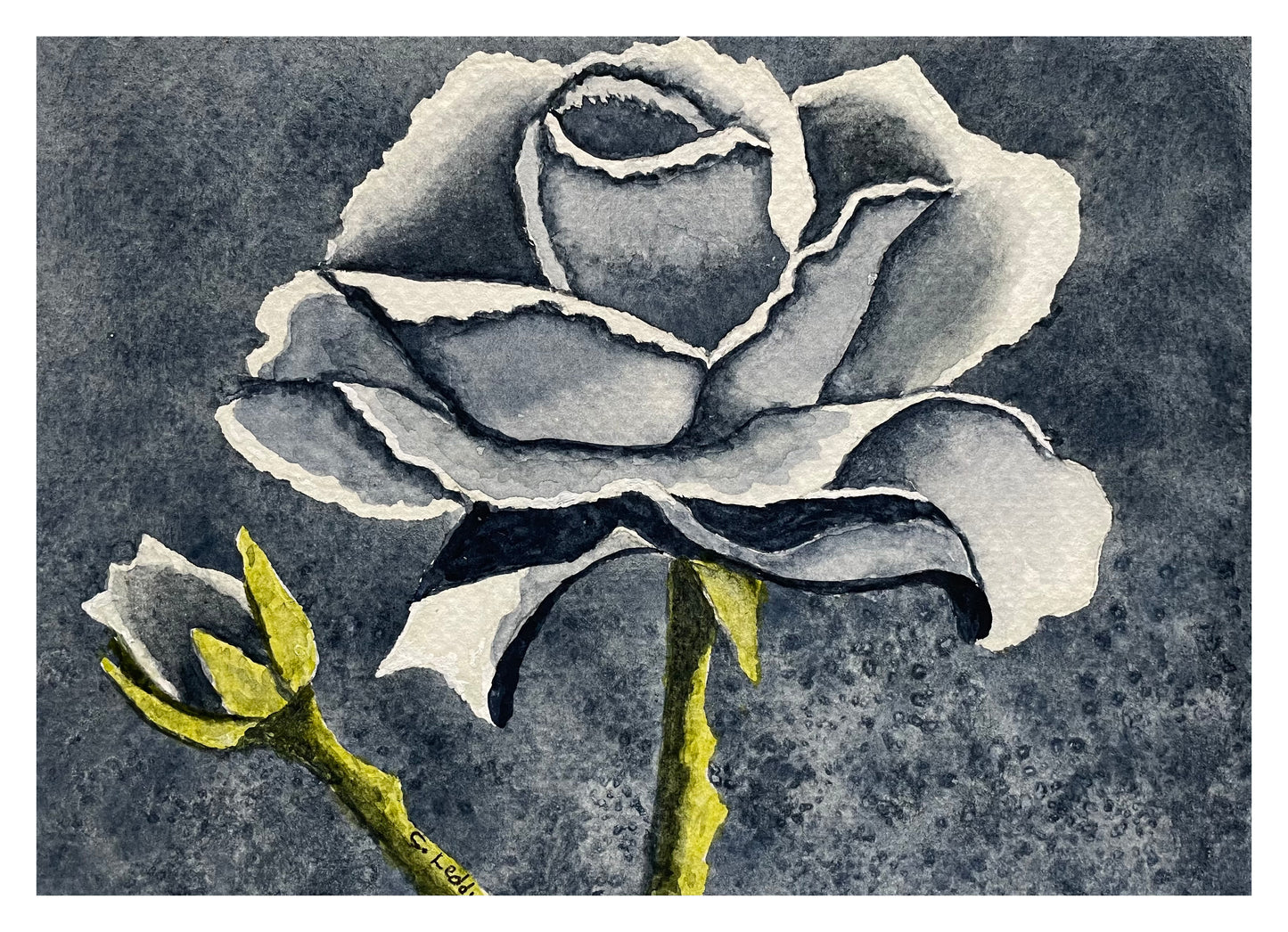 Monochrome Rose