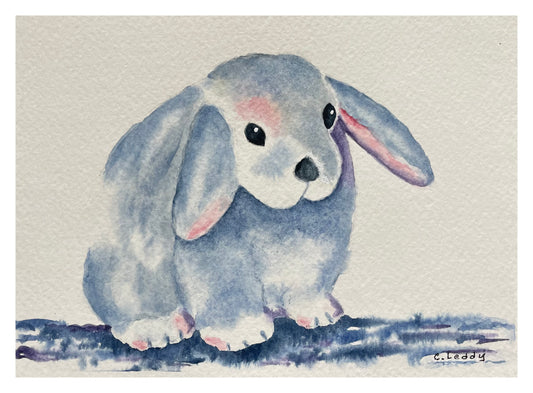 Gentle Bunny