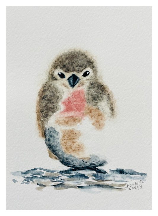 Baby Bird