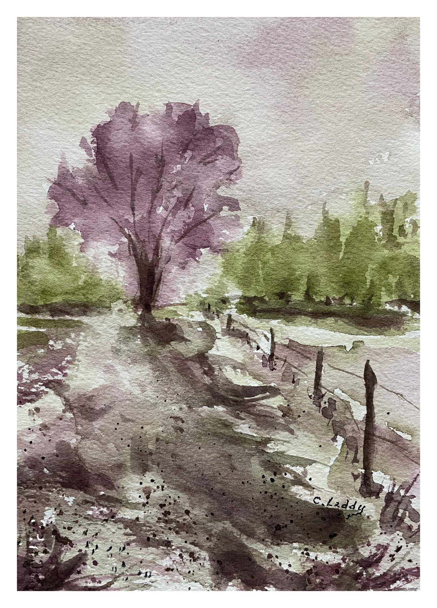 Lavender Tree