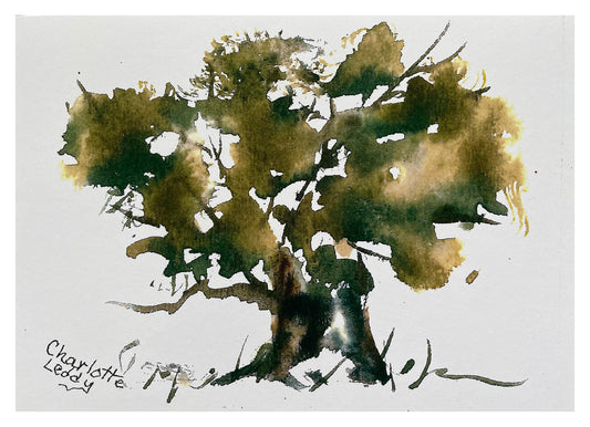 Lone Tree
