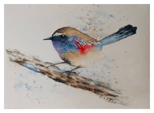 Perched in Color