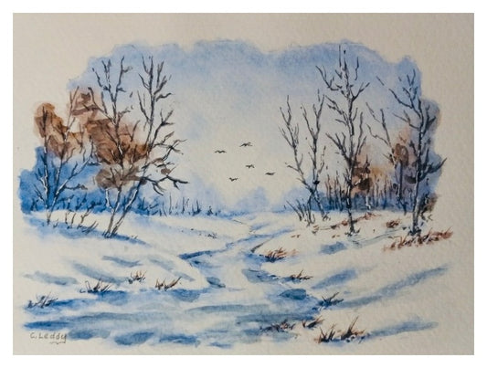 Silent Winter Path