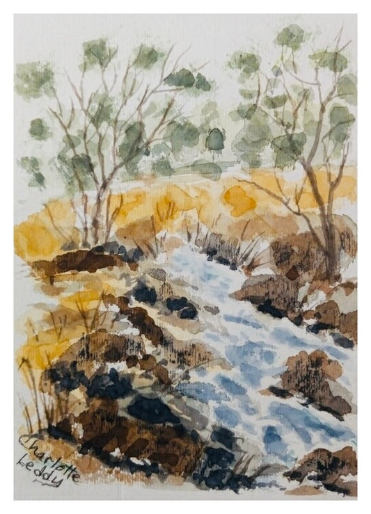 Autumn Brook