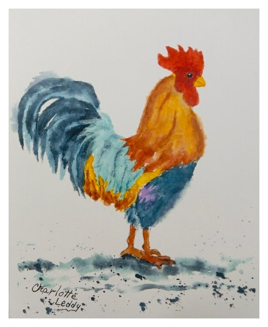 Morning Rooster