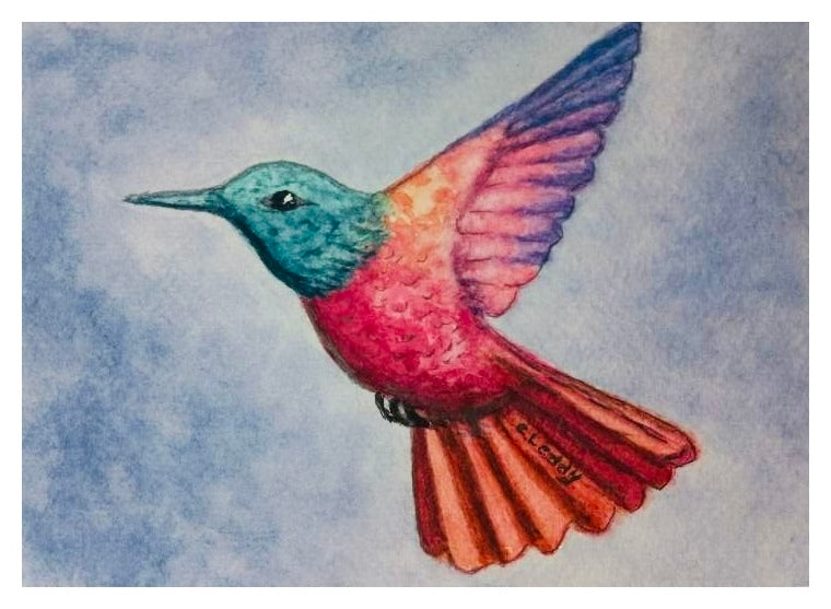Radiant Hummingbird